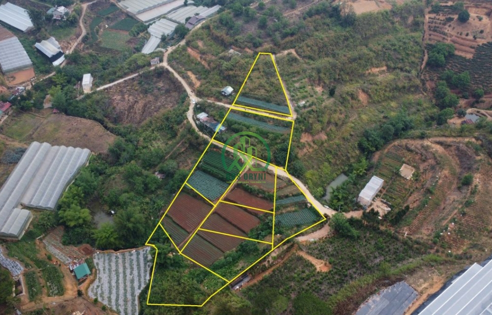 CẦN CHO THUÊ LÔ ĐẤT VIEW ĐẸP ĐƯỜNG TRẦN THÁI TÔNG - P11 - ĐÀ LẠT
