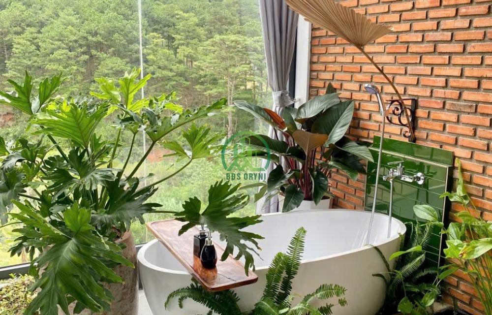 Cần bán homestay đường hoàng hoa thám phường 10 tp đà lạt