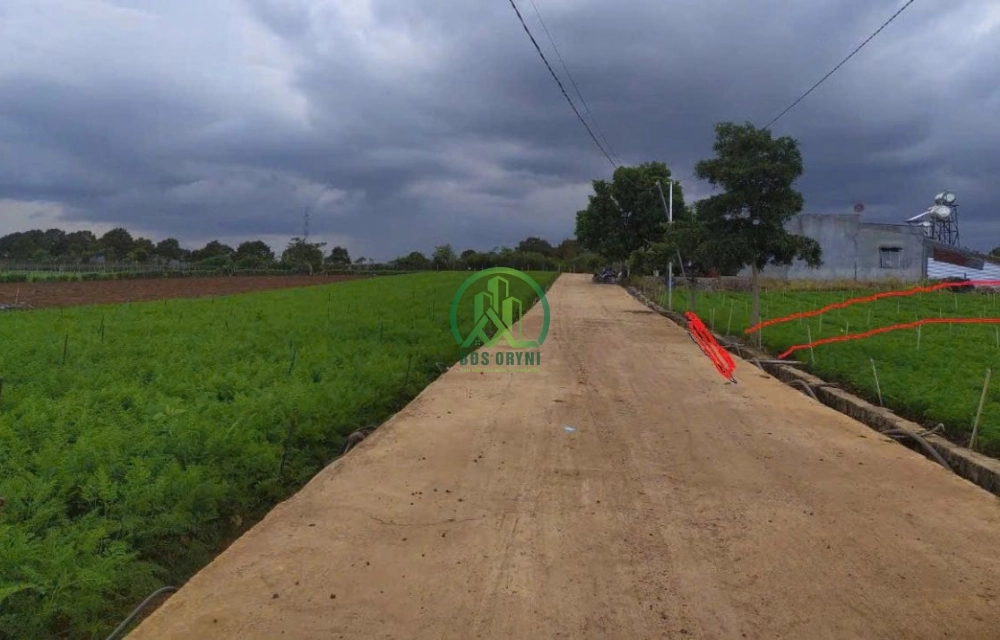 CẦN BÁN 119m2  ĐẤT THỊ TRẤN LIÊN NGHĨA, ĐỨC TRỌNG, LÂM ĐỒNG
