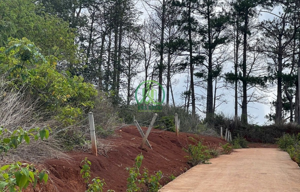 CẦN BÁN ĐẤT THỊ TRẤN NAM BAN, LÂM HÀ, LÂM ĐỒNG