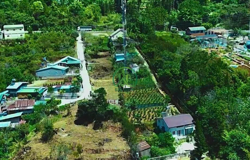 CẦN HƠN 6 NGHÌN M2  BÁN ĐẤT MIMOSA, PHƯỜNG 10, TP. ĐÀ LẠT