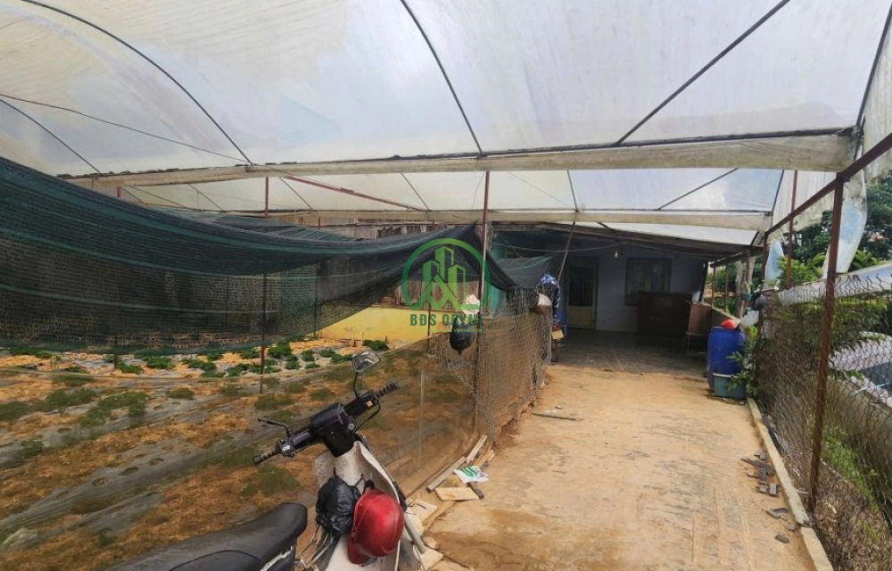 CẦN BÁN ĐẤT TỰ PHƯỚC, PHƯỜNG 11, TP. ĐÀ LẠT