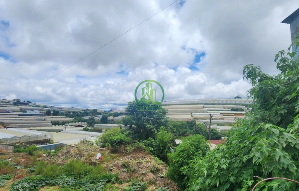 CẦN BÁN ĐẤT TỰ PHƯỚC, PHƯỜNG 11, TP. ĐÀ LẠT