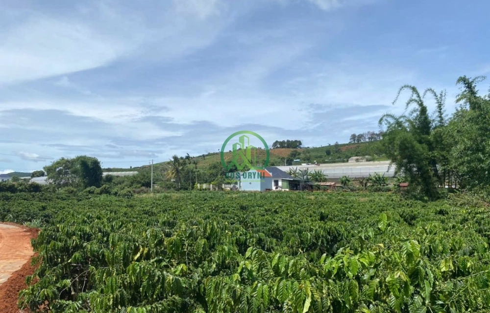 CẦN BÁN 5 LÔ ĐẤT MÊ LINH, LÂM HÀ– GIÁ F0 CHỈ 5 SUẤT DUY NHẤT! 