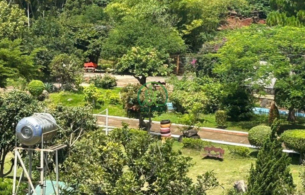 🌿 CẦN BÁN KHU NGHỈ DƯỠNG – BỒNG LAI, LÂM ĐỒNG 🌿