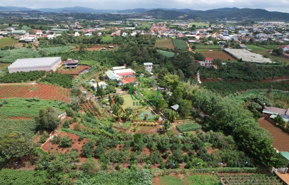 🌿 CẦN BÁN KHU NGHỈ DƯỠNG – BỒNG LAI, LÂM ĐỒNG 🌿