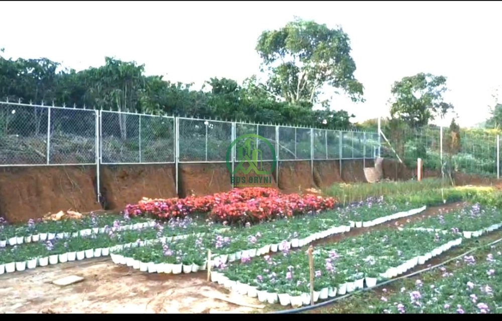CẦN BÁN LÔ ĐẤT TẠI THÔN 5 TÀ NUNG ĐÀ LẠT