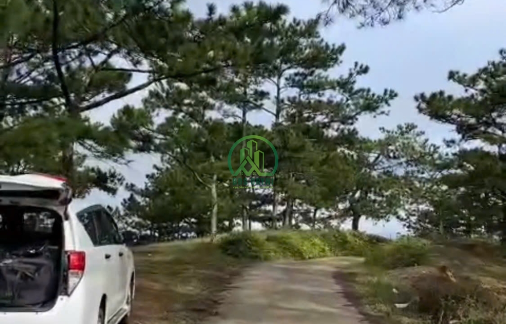 🌲 CẦN BÁN ĐẤT VIEW ĐẸP – SUỐI VÀNG, P. LANGBIANG, ĐÀ LẠT 🌲