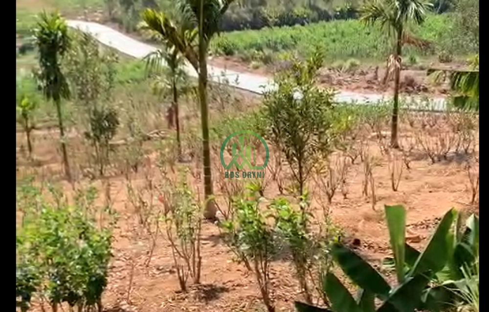 🏡 CẦN BÁN ĐẤT GIA LÂM -LÂM HÀ