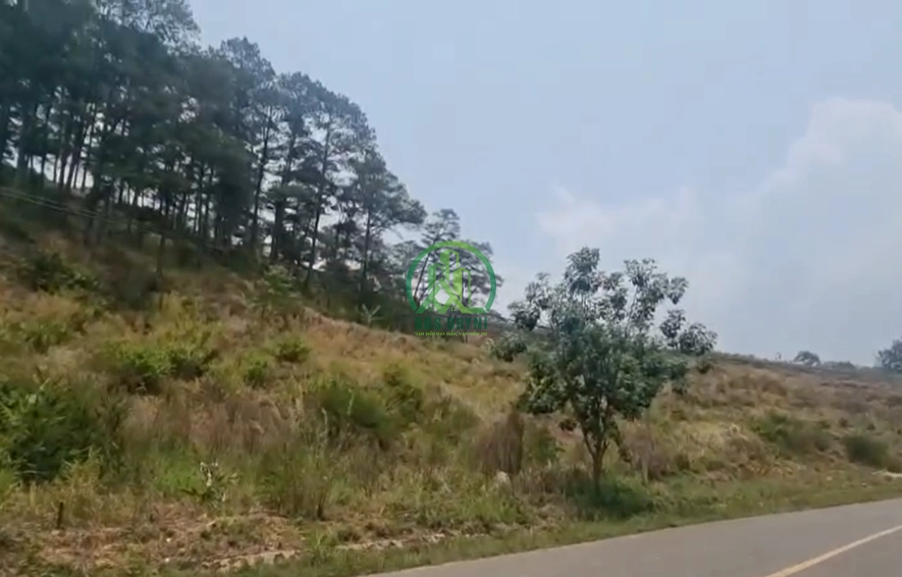 🏡 CẦN BÁN 3.851 M2 ĐẤT ĐA SA - LẠC DƯƠNG