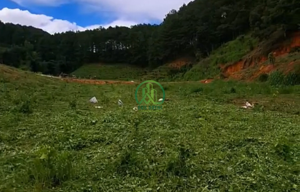 CẦN BÁN ĐẤT TÀ NUNG, P.CAM LY - ĐÀ LẠT