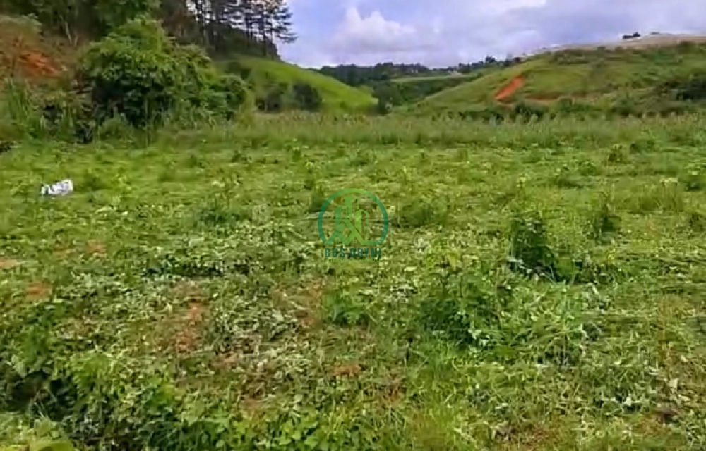 CẦN BÁN ĐẤT TÀ NUNG, P.CAM LY - ĐÀ LẠT