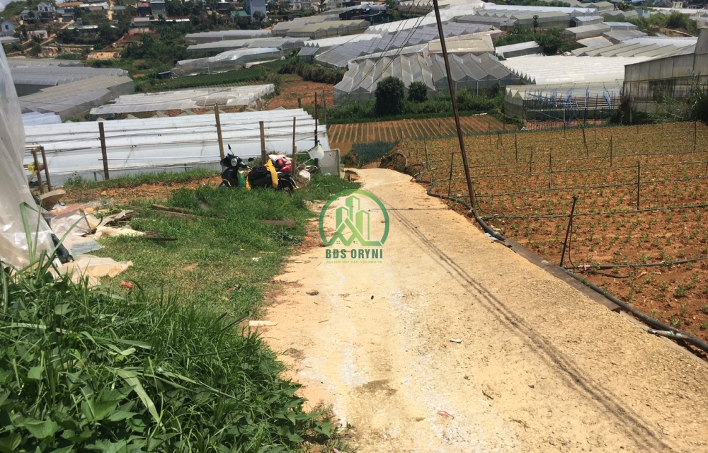 ĐẤT ĐƯỜNG TÔ VĨNH DIỆN- P6