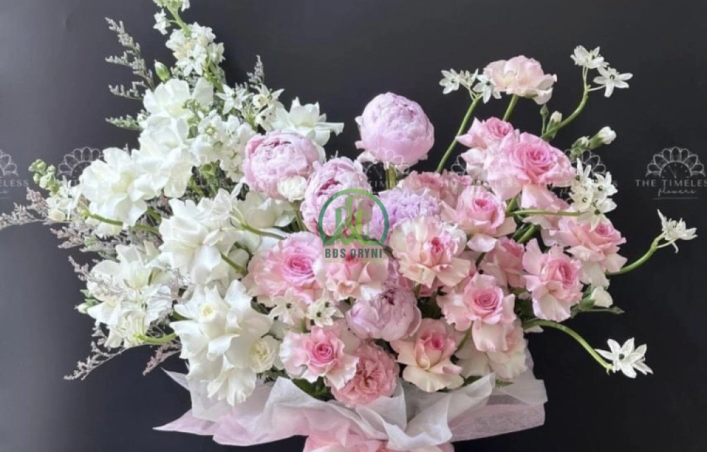 CHO THUÊ NHÀ NGUYÊN CĂN KQH PHAN ĐÌNH PHÙNG TÔ NGỌC VÂN- P2
