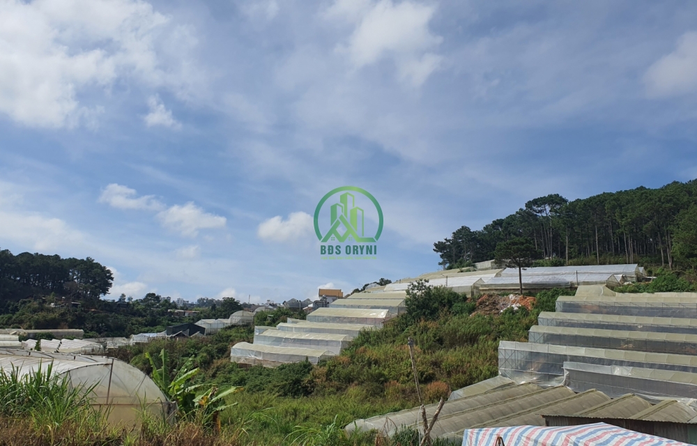 CẦN BÁN ĐẤT VẠN THÀNH VIEW RỪNG THÔNG - P5 - ĐÀ LẠT