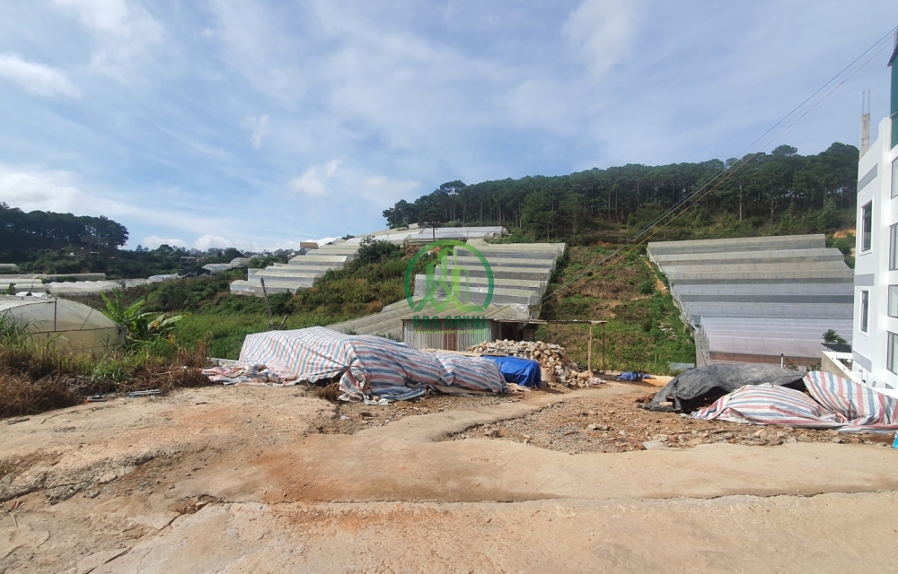 CẦN BÁN ĐẤT VẠN THÀNH VIEW RỪNG THÔNG - P5 - ĐÀ LẠT