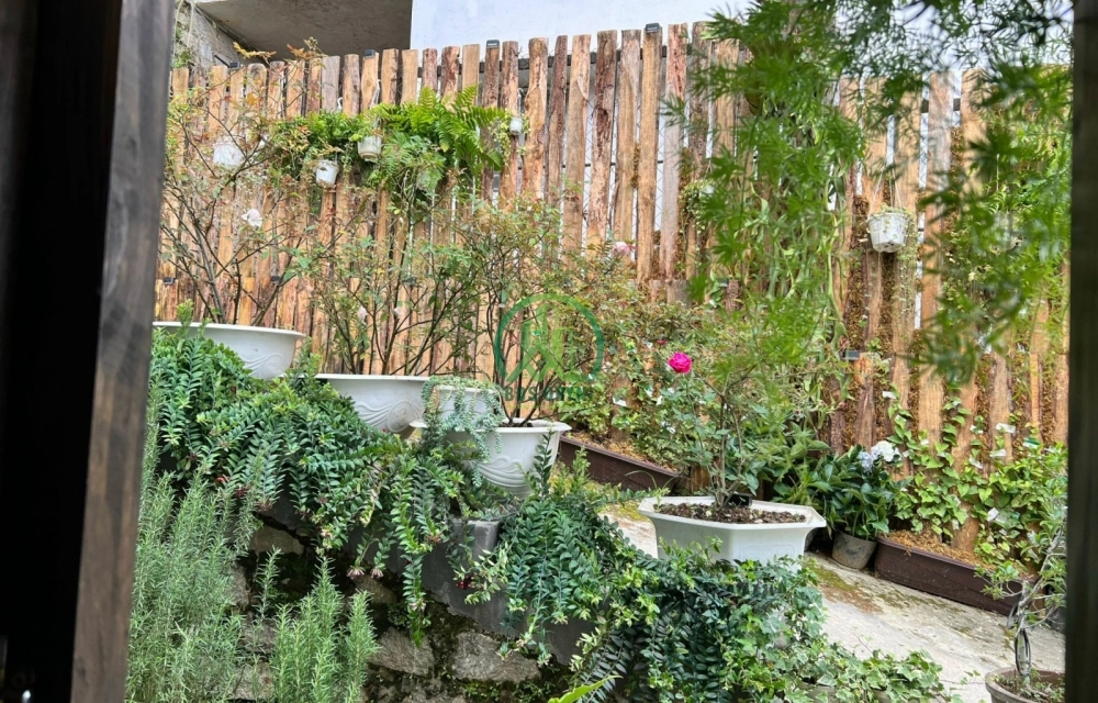 SANG NHƯỢNG HOMESTAY VÀ CÀ PHÊ ĐẸP ĐƯỜNG HOÀNG HOA THÁM -P10- ĐÀ LẠT