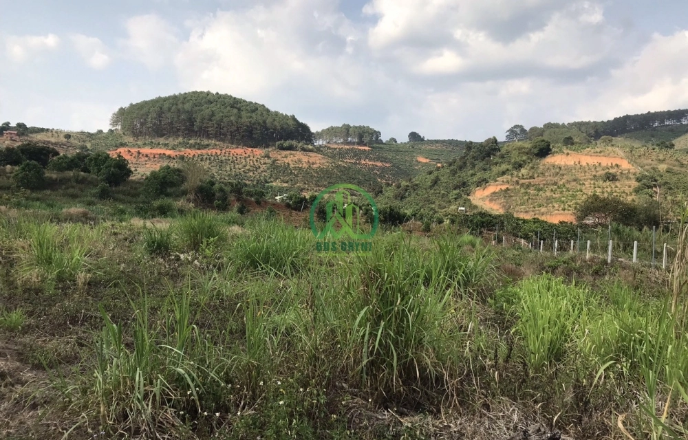 ĐẤT THÔN 2 MÊ LINH- LÂM HÀ