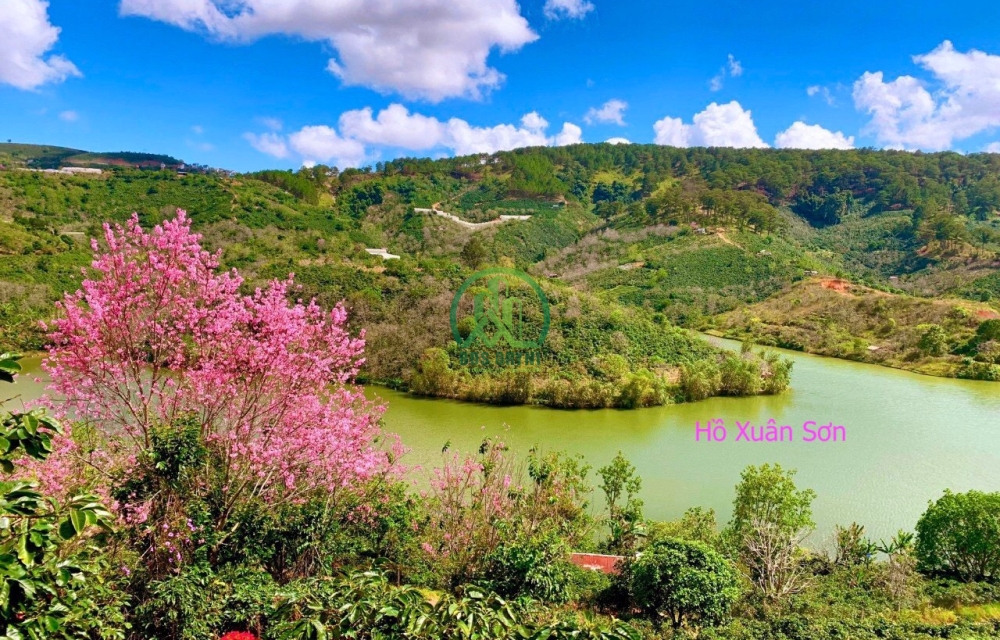 ĐẤT HỒ XUÂN SƠN- XÃ XUÂN TRƯỜNG