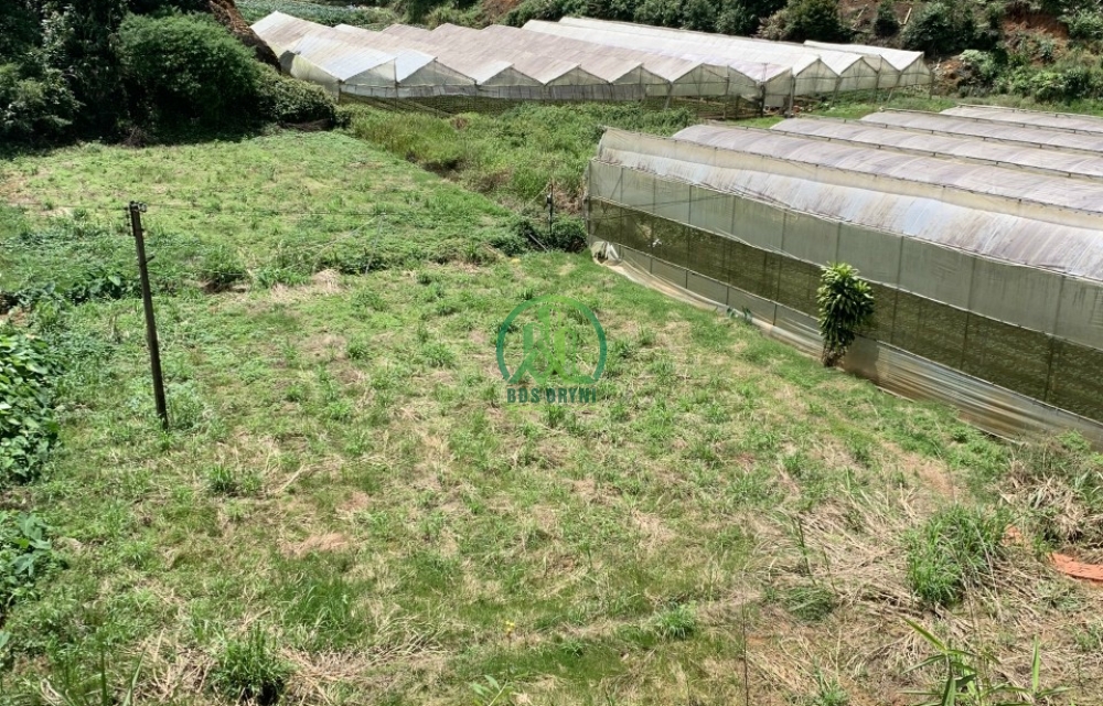 BÁN LÔ ĐẤT RỘNG MẶT TIỀN ĐƯỜNG KIM THẠCH ,P7,TP.ĐÀ LẠT GIÁ CHỈ 4,7TR/1M2  