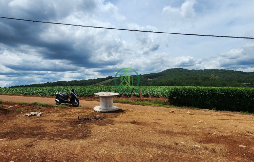 ĐẤT VIEW SĂN MÂY 2 MẶT TIỀN ĐƯỜNG TẠI XUÂN THỌ- ĐÀ LẠT