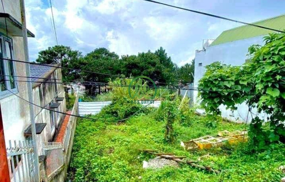 CẦN BÁN LÔ ĐẤT ĐƯỜNG NGUYỄN HỮU CẢNH (ĐỒI THÔNG TIN)- P8- ĐÀ LẠT