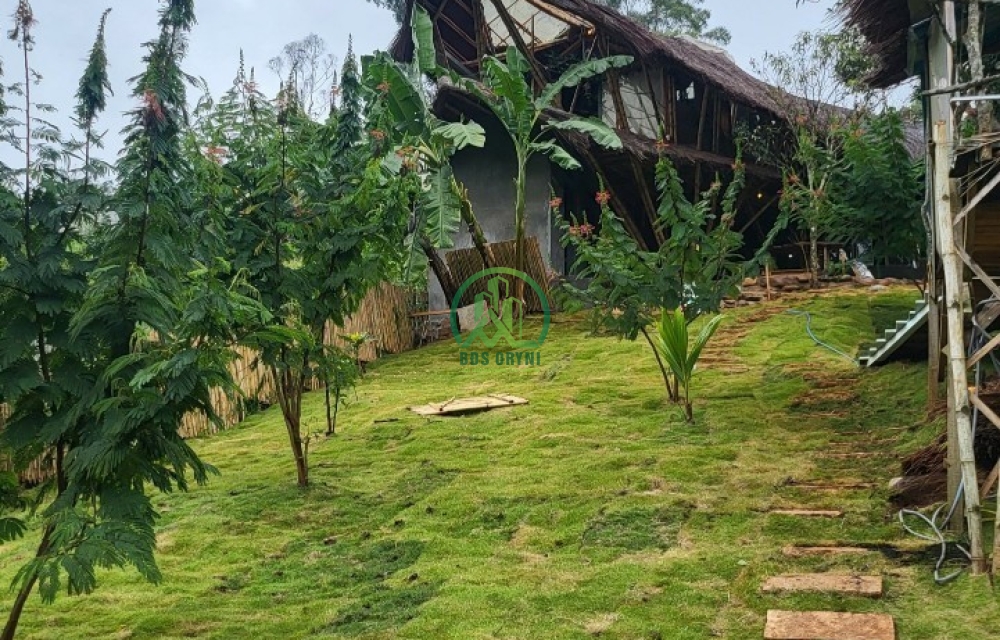 CẦN BÁN HOMESTAY XUÂN TRƯỜNG- ĐÀ LẠT