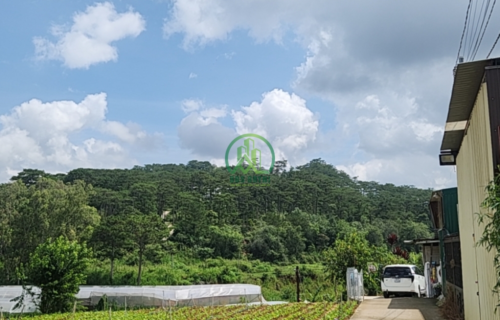 NHÀ ĐƯỜNG HẺM CAO THẮNG- P7- ĐÀ LẠT