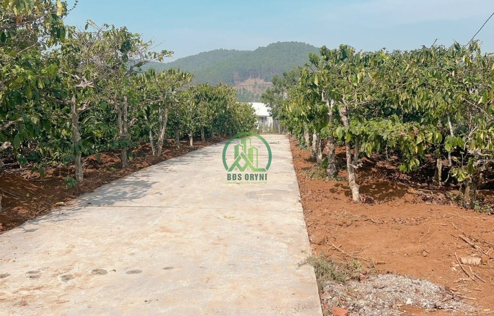 CẦN BÁN ĐẤT MÊ LINH- LÂM HÀ- LÂM ĐỒNG