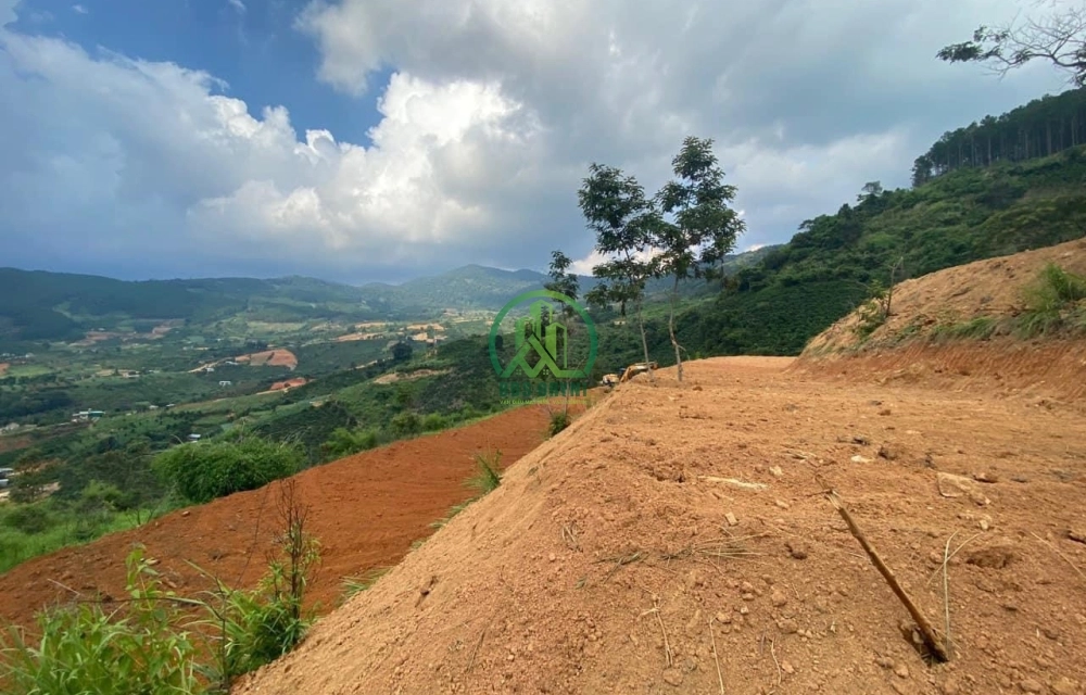 CẦN BÁN LÔ ĐẤT NÔNG TRẠI ĐÔNG THANH - LÂM HÀ - LÂM ĐỒNG.