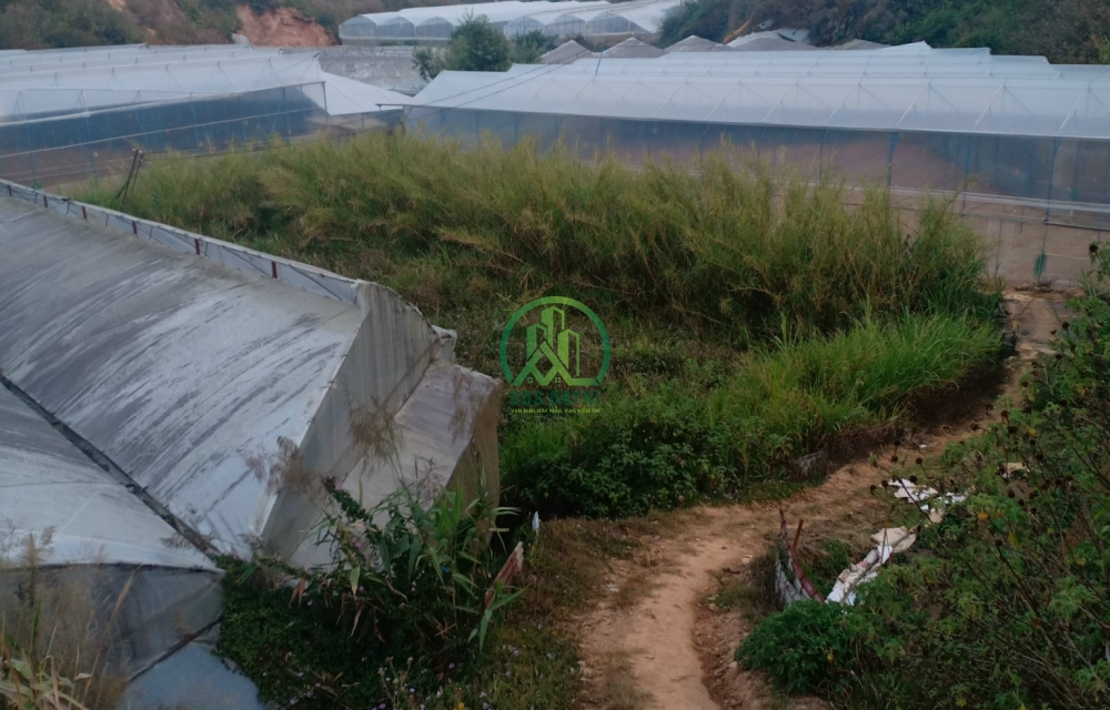 CẦN BÁN LÔ ĐẤT ĐƯỜNG PHƯỜNG 7 - ĐÀ LẠT.