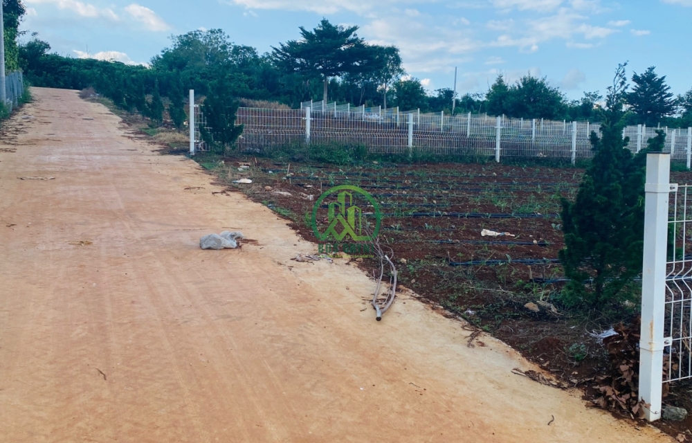 CẦN BÁN ĐẤT 2 MẶT TIỀN XÃ HOÀI ĐỨC- LÂM HÀ- LÂM ĐỒNG