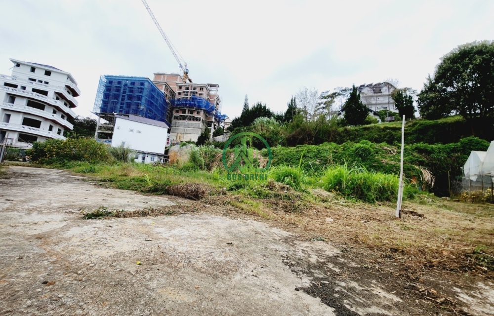 CẦN THANH LÝ LÔ ĐẤT NAM HỒ P11 - ĐÀ LẠT.