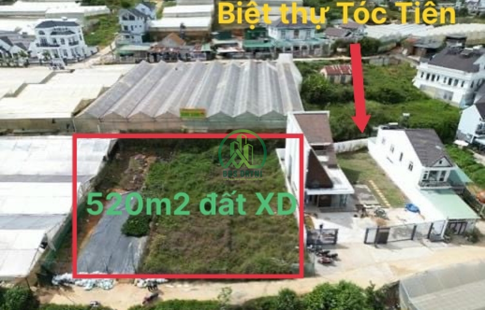 ĐẤT VIEW HỒ THAN THỞ ĐƯỜNG HẺM NAM HỒ- P11- ĐÀ LẠT (BÊN CẠNH BIỆT THỰ CA SĨ TÓC TIÊN)