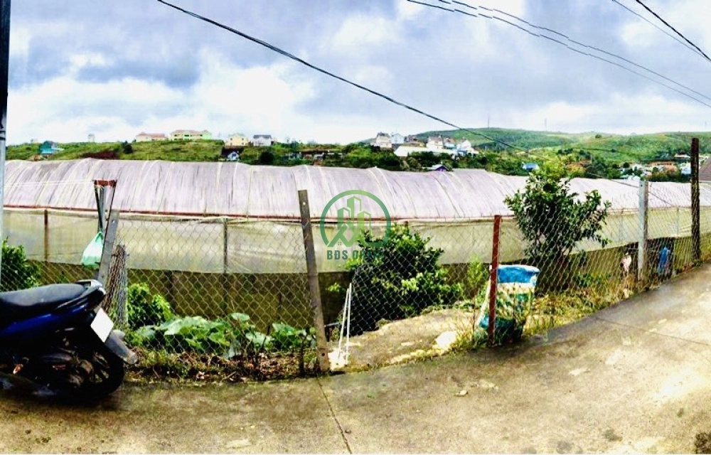CẦN BÁN GẤP ĐẤT XUÂN TRƯỜNG- ĐÀ LẠT