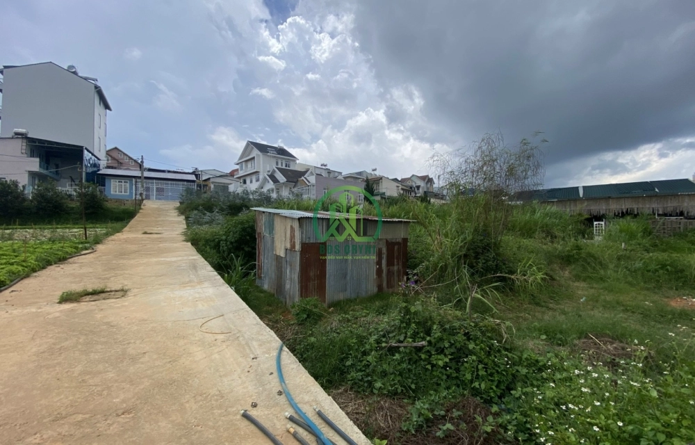 ĐẤT ĐƯỜNG HẺM LÝ NAM ĐẾ- P8- ĐÀ LẠT