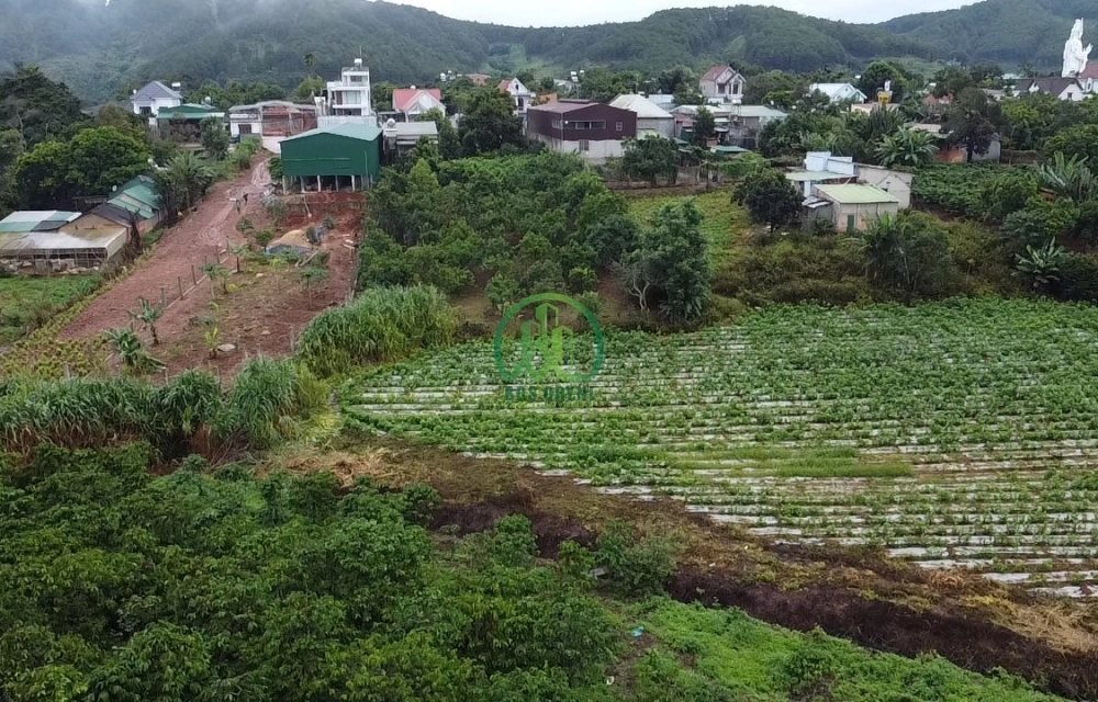 BÁN ĐẤT 3 LÔ ĐẤT MẶT TIỀN XÃ GIA LÂM- LÂM HÀ- LÂM ĐỒNG
