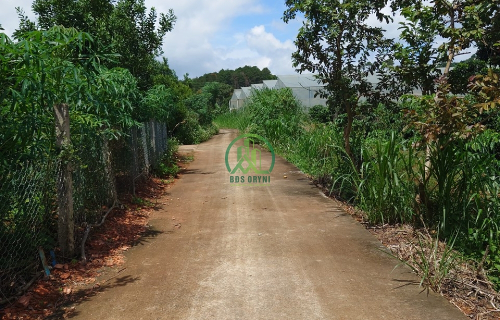 CẦN BÁN ĐẤT THỊ TRẤN NAM BAN- LÂM HÀ