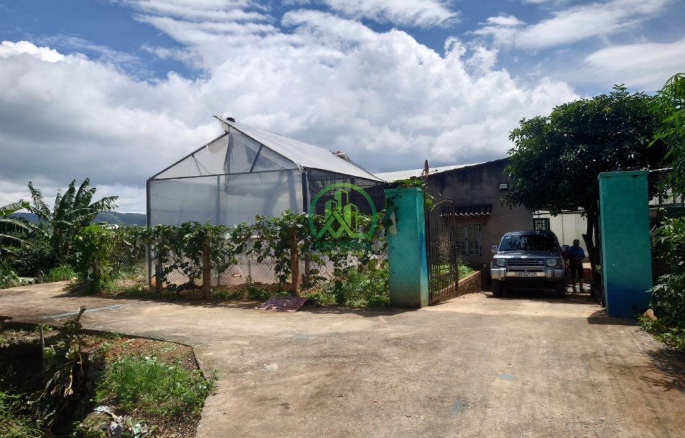 CẦN BÁN ĐẤT THỊ TRẤN NAM BAN- LÂM HÀ