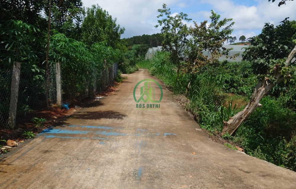 CẦN BÁN ĐẤT THỊ TRẤN NAM BAN- LÂM HÀ