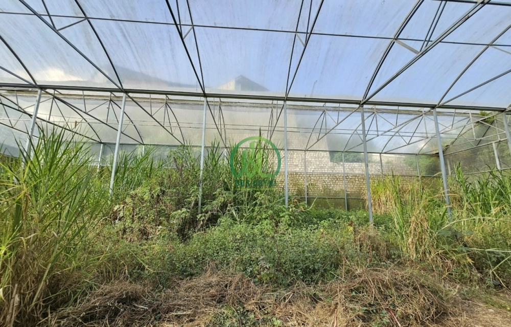 CẦN BÁN VÀI LÔ ĐẤT GIÁ F1 ĐƯỜNG VẠN THÀNH- P5- ĐÀ LẠT