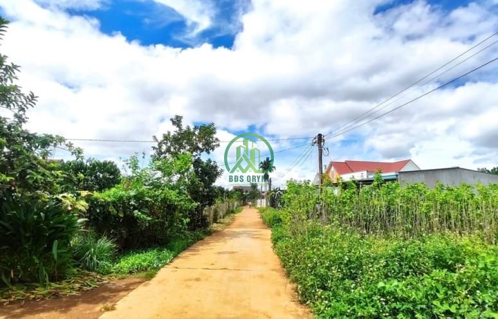 NHÀ ĐẤT MẶT TIỀN ĐƯỜNG KP ĐÔNG ANH- TT NAM BAN
