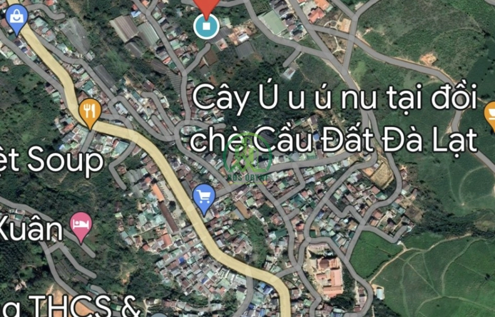 CẦN BÁN GẤP ĐẤT GẦN KQH XUÂN TRƯỜNG- ĐÀ LẠT