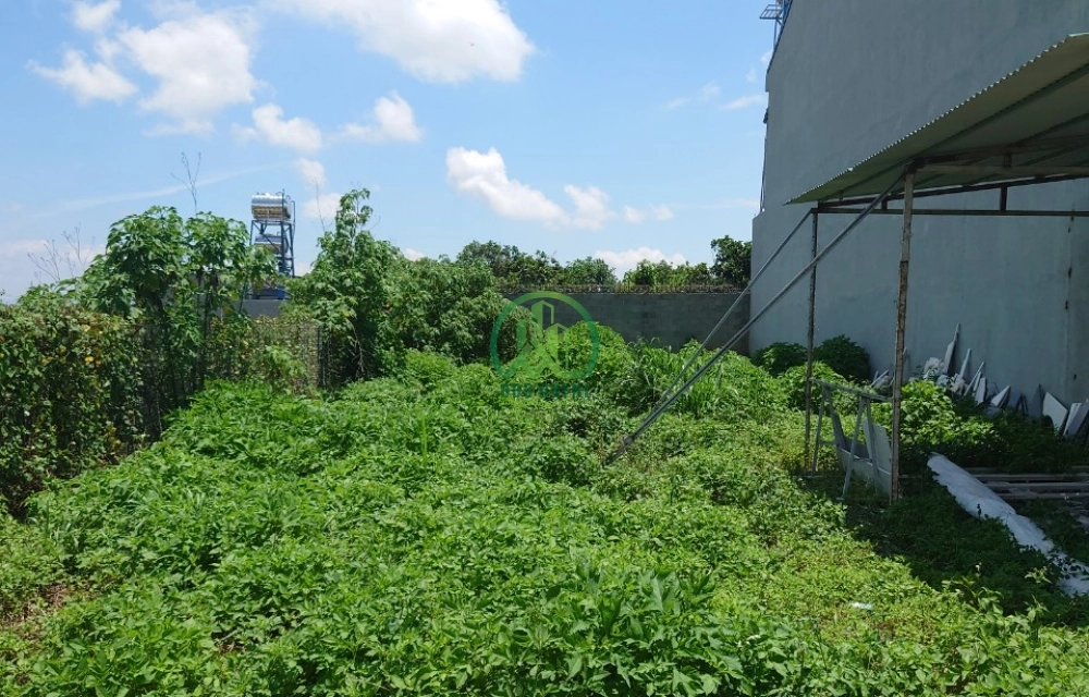 CẦN BÁN GẤP 2 LÔ ĐẤT LIỀN KỀ ĐƯỜNG PHÙ ĐỔNG THIÊN VƯƠNG- LIÊN NGHĨA- ĐỨC TRỌNG 