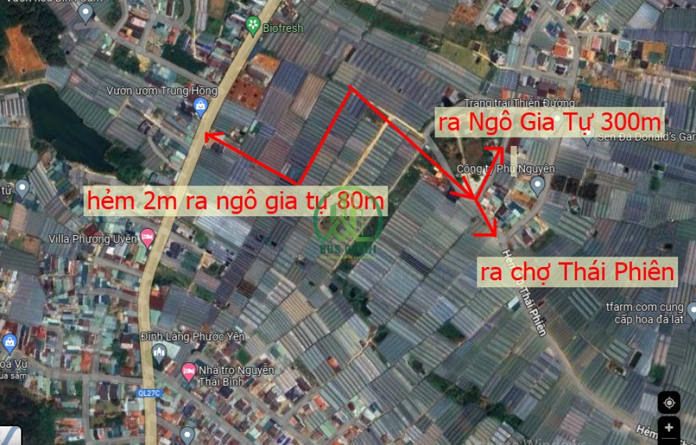 ĐẤT BIỆT THỰ ĐƯỜNG Ô TÔ THÁI PHIÊN- P12- ĐÀ LẠT