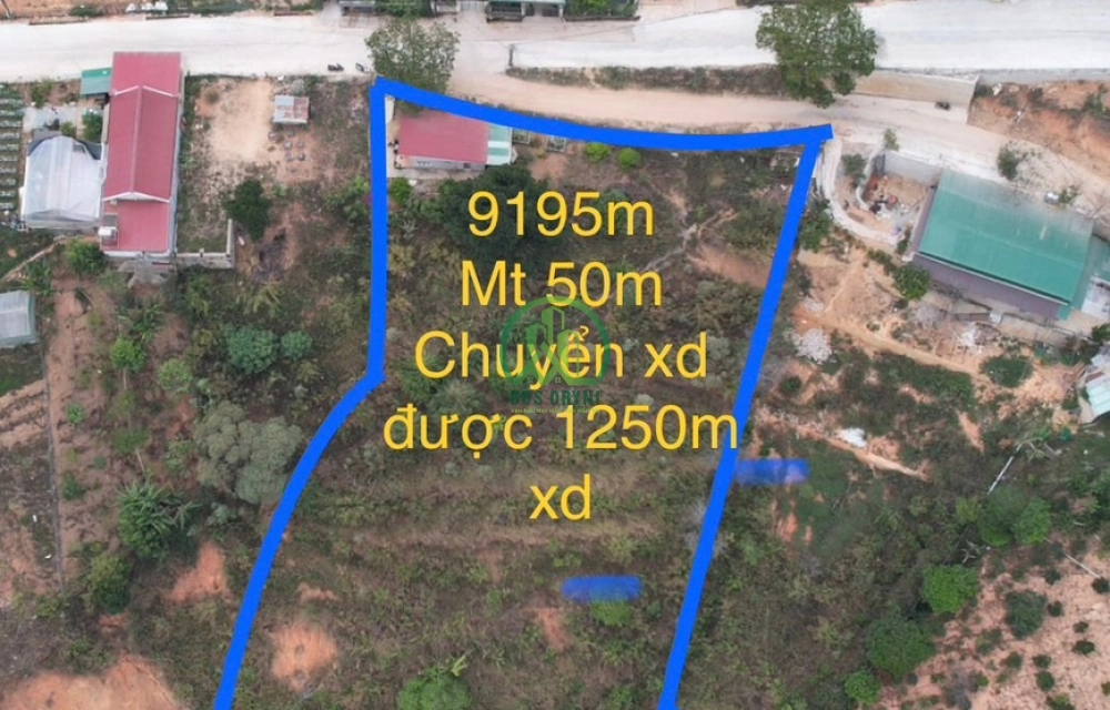 CẦN BÁN ĐẤT ĐƯỜNG TRẦN THÁNH TÔNG- P4- ĐÀ LẠT