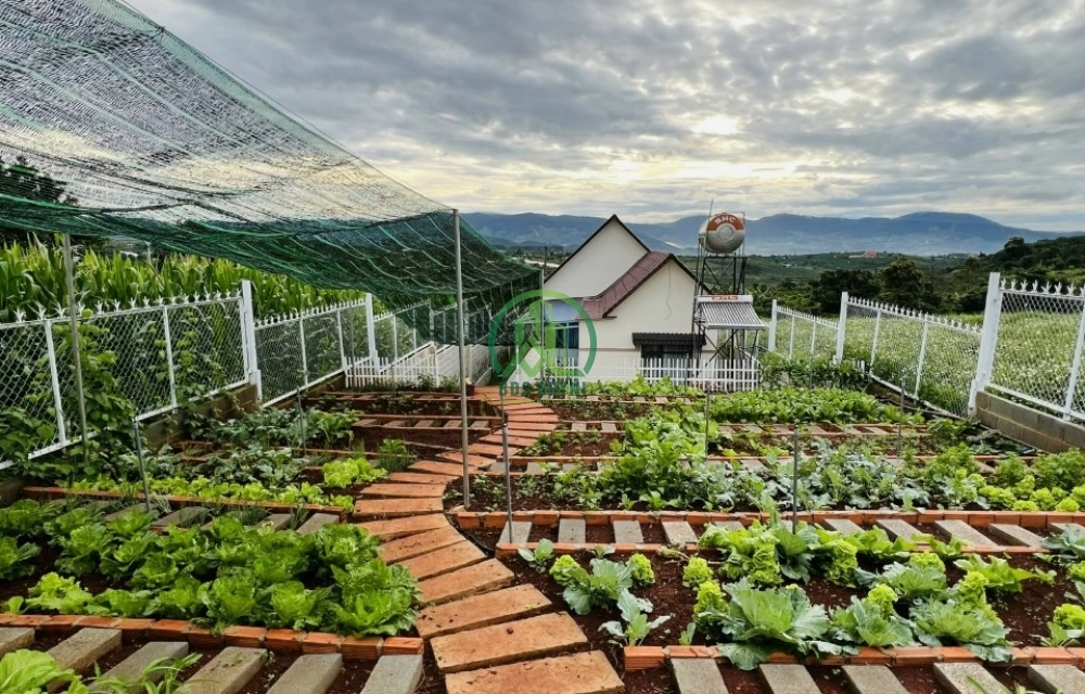 CẦN BÁN NHÀ SÂN VƯỜN NAM HÀ- LÂM HÀ 