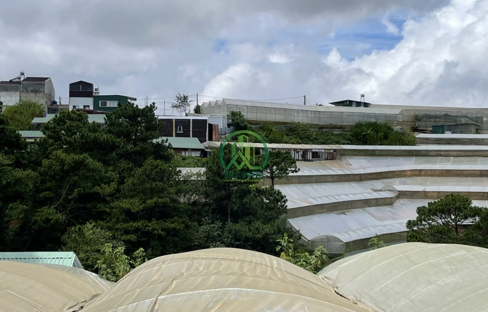 CẦN BÁN 2 LÔ ĐƯỜNG NGUYỄN HOÀNG, P7, ĐÀ LẠT