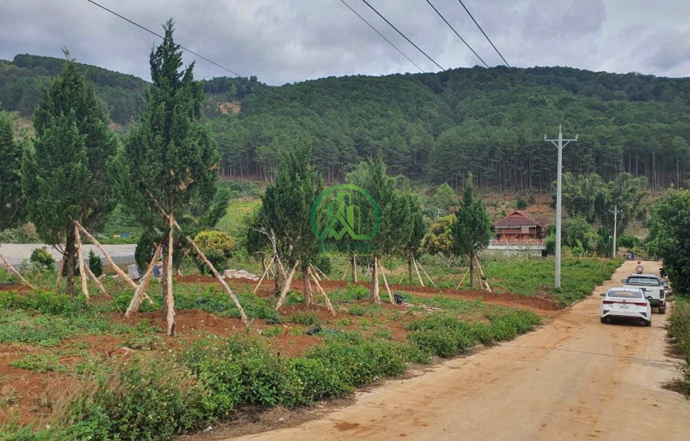 CẦN BÁN GẤP LÔ ĐẤT NÔNG NGHIỆP XÃ TÀ NUNG - ĐÀ LẠT