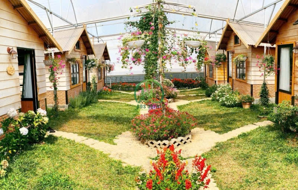 CẦN BÁN BIỆT THỰ VÀ BUNGALOW MẶT TIỀN ĐƯỜNG TRẦN QUANG KHẢI - P8 - ĐÀ LẠT